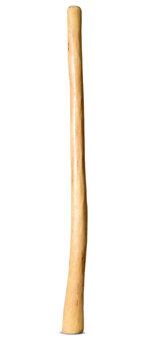Medium Size Natural Finish Didgeridoo (TW1510)